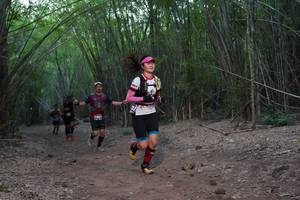 BIB: 
                            <button type="button" onclick="openModal(4101401)" class="btn btn-primary btn-sm float-right btn-popup" data-toggle="modal" data-target=".modal-high-quality">
                        <i class="fas fa-shopping-cart"></i> Add to Cart
                    </button>
                                            <button type="button" onclick="isThisMe(4101401, true)" class="btn btn-success btn-sm float-right btn-popup btn-isme hidden" data-toggle="tooltip" data-placement="bottom" title="นี่คือรูปของคุณใช่ไหม คลิกที่นี่เพื่อเอาเข้าอัลบั้ม">
                        <i class="fas fa-plus"></i> Add to album
                    </button>
                    <button type="button" onclick="isThisMe(4101401, false)" class="btn btn-warning btn-sm float-right btn-popup btn-isnotme hidden">
                        <i class="fas fa-ban"></i> Remove from album
                    </button>